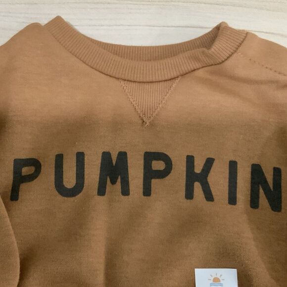 NWT!! Pumpkin Lightweight Sweatshirt Orange/Brown 3Month Old - Picture 2 of 6